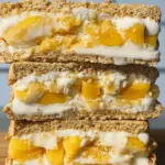 Mango Graham Ice Cream Sandwich: Your Sweet Summer Bliss 10 MANGO GRAHAM ICE CREAM SANDWICH