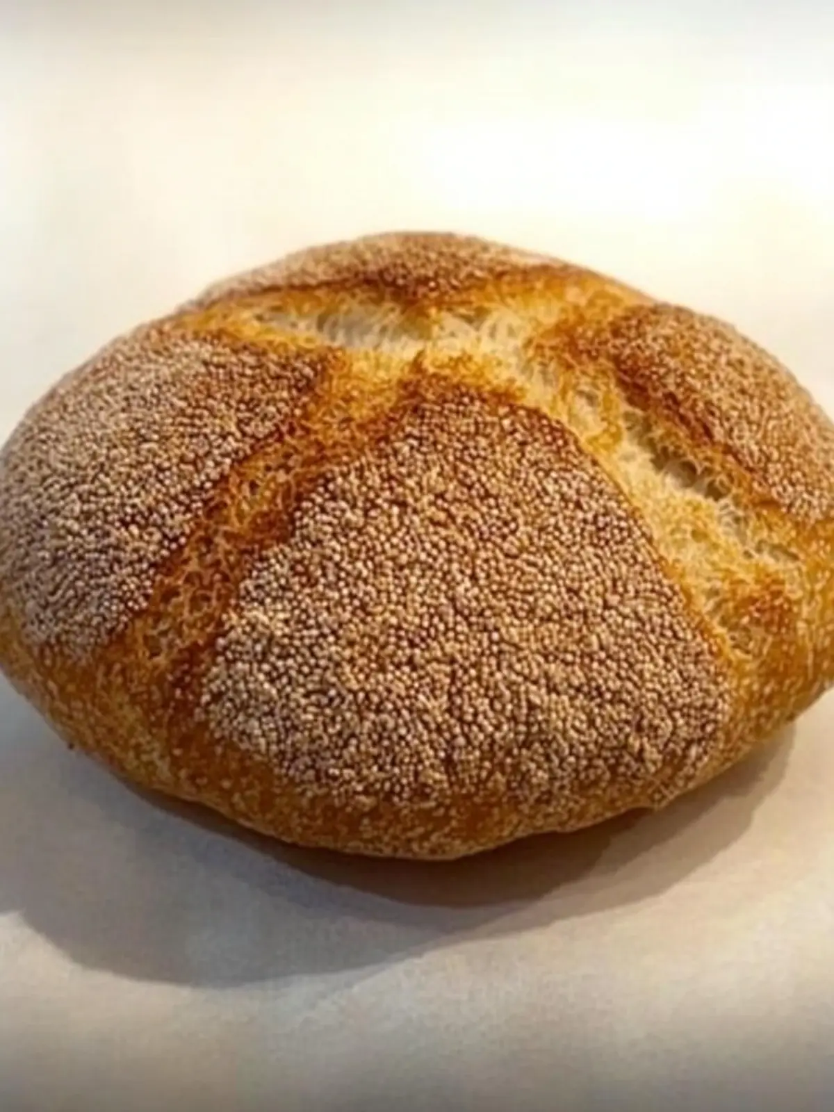 Savor the Delight of Homemade Sicilian Bread Today 2 Sicilian bread