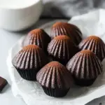 Irresistible Double Chocolate Madeleines for Ultimate Indulgence 2 Double Chocolate Madeleines