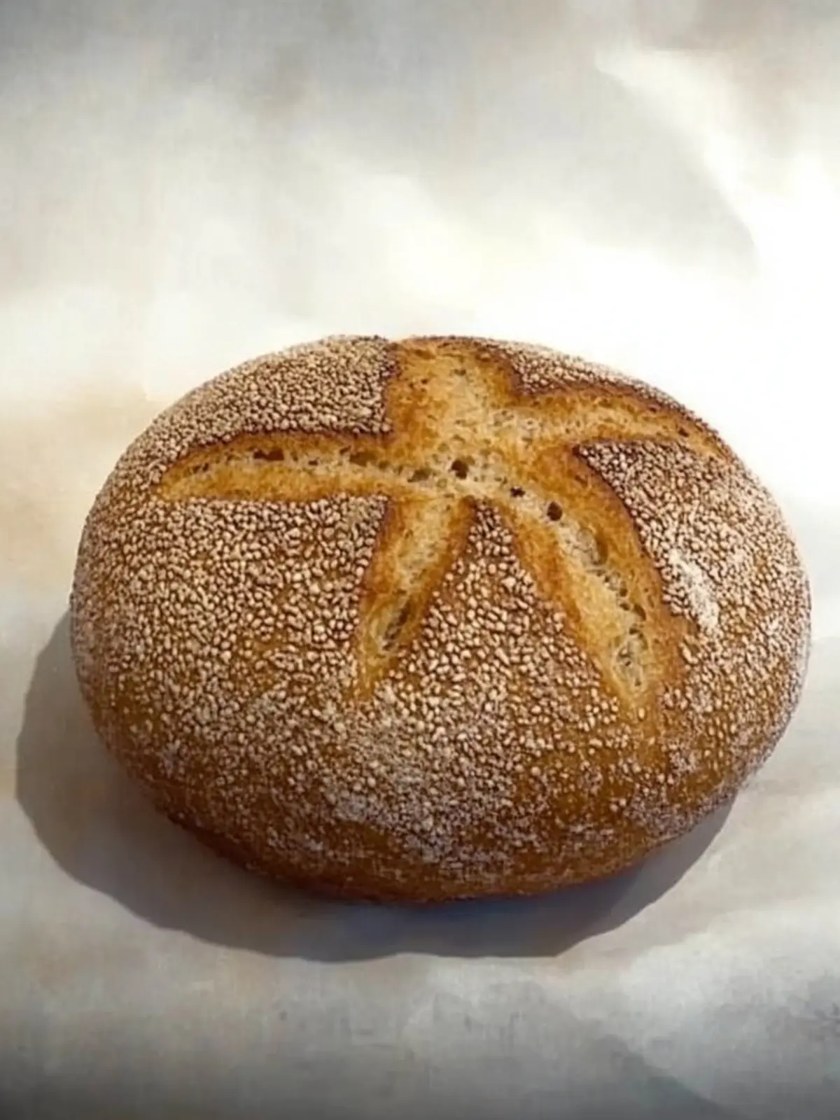 Savor the Delight of Homemade Sicilian Bread Today 4 Sicilian bread