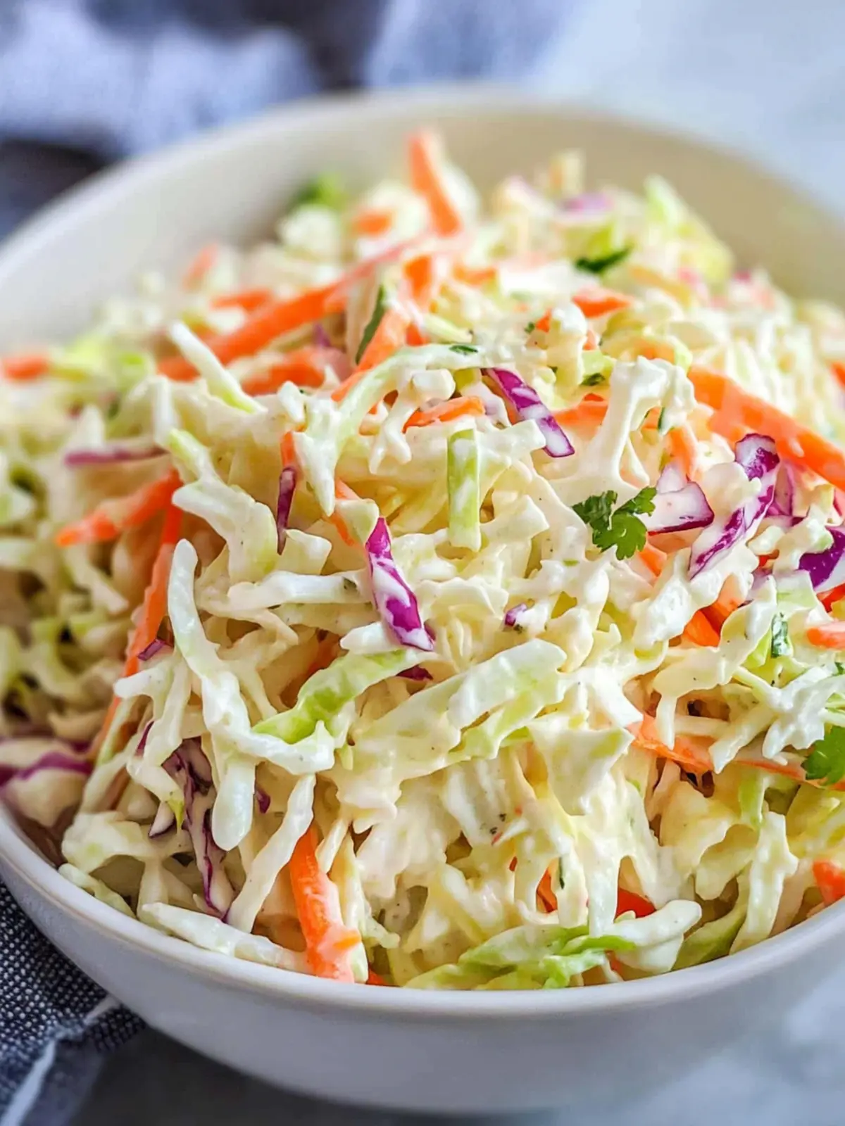 Easy Cole Slaw with a Zesty Twist You'll Love 2 Easy Cole Slaw