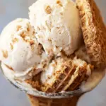 Father's Day Biscoff Ice Cream: The Sweetest Homemade Treat 41 Father' Day Biscoff Ice Cream