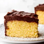 Decadent Yellow Sheet Cake with Irresistible Chocolate Frosting 8 Yellow Sheet Cake with Chocolate Frosting